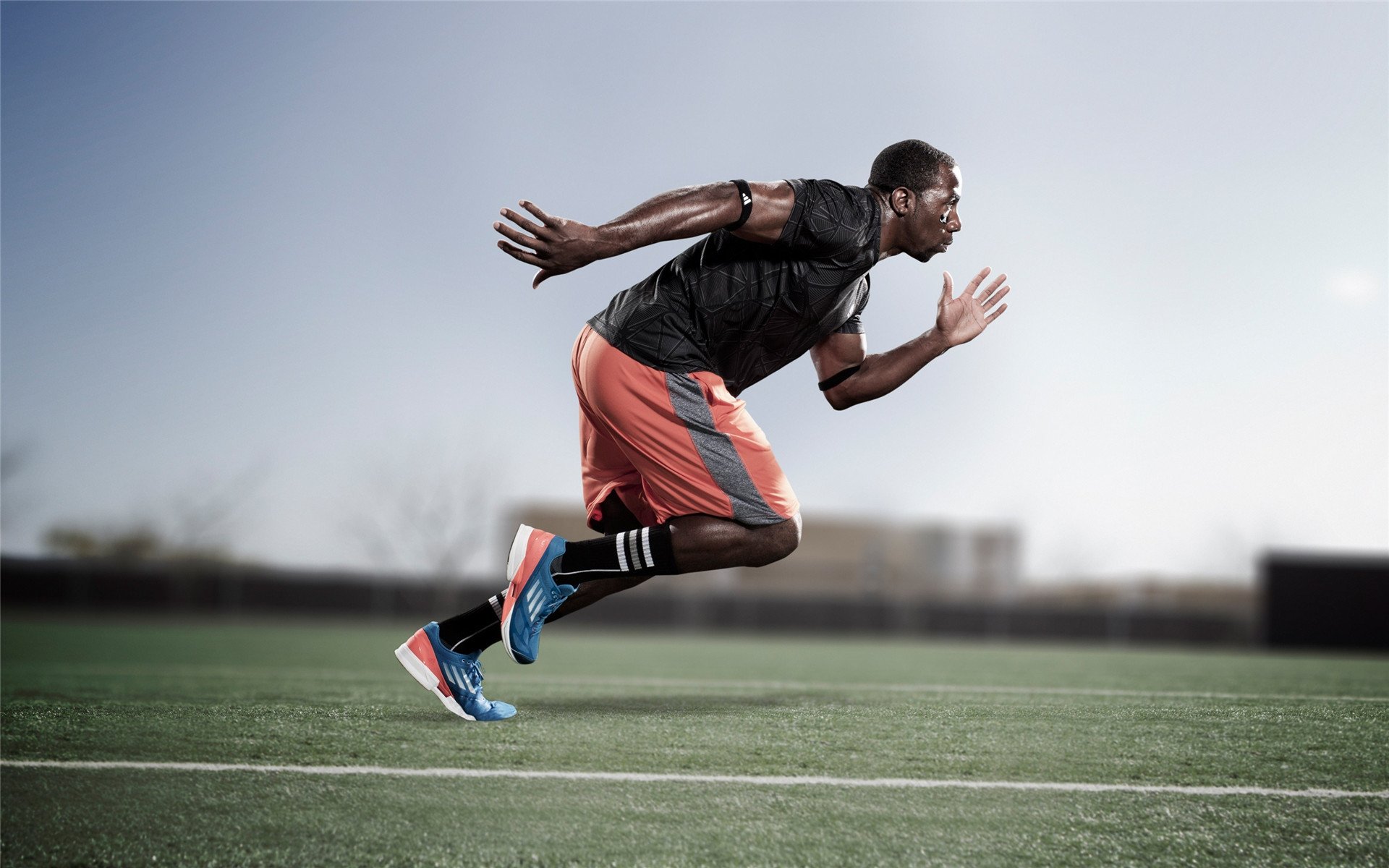 中美女子200蝶滑行–划频协同度演进图